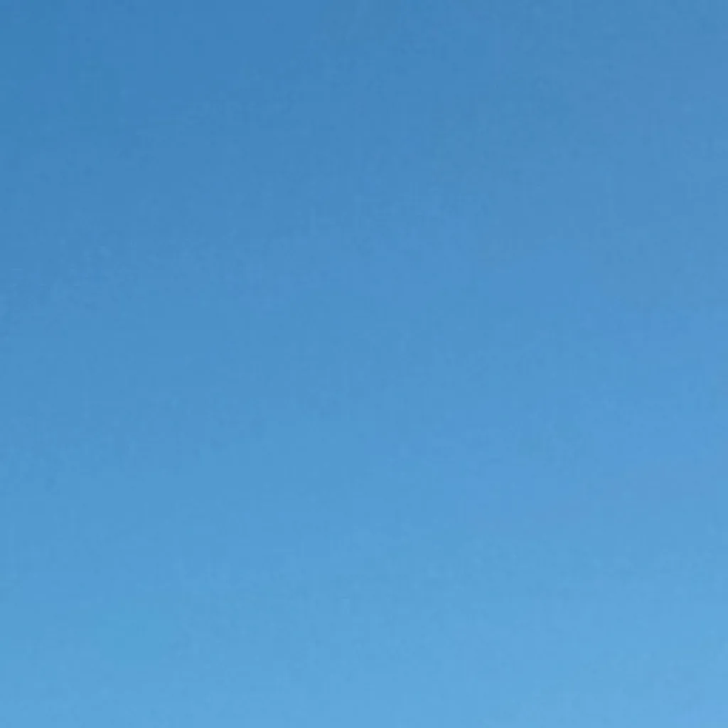 chat with ai character: Neko infection (2)