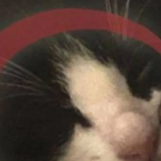 chat with ai character: ds new hashira