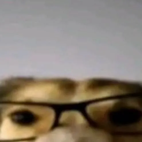 chat with ai character: Smart dog 
