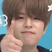 chat with ai character: 💮 SEUNGMIN💮