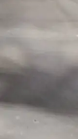 ai character: Vee background