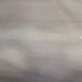 chat with ai character: Vee