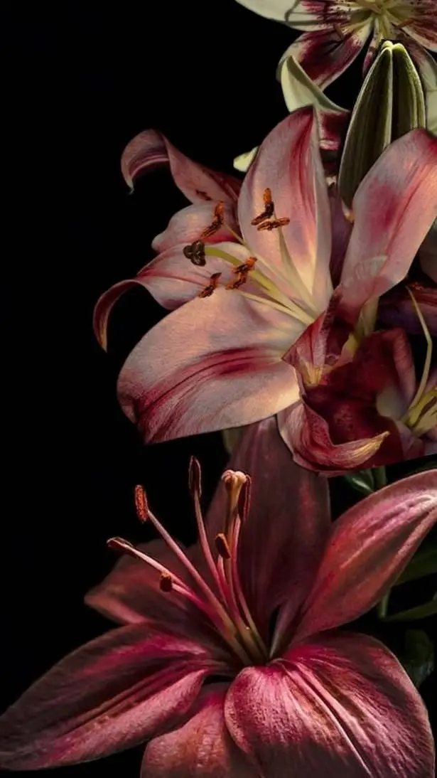 ai character: ⋆.𐙚˚࿔ Seungmin𝜗𝜚˚⋆ background