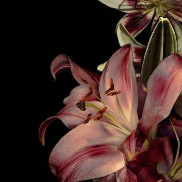 chat with ai character: ⋆.𐙚˚࿔ Seungmin𝜗𝜚˚⋆