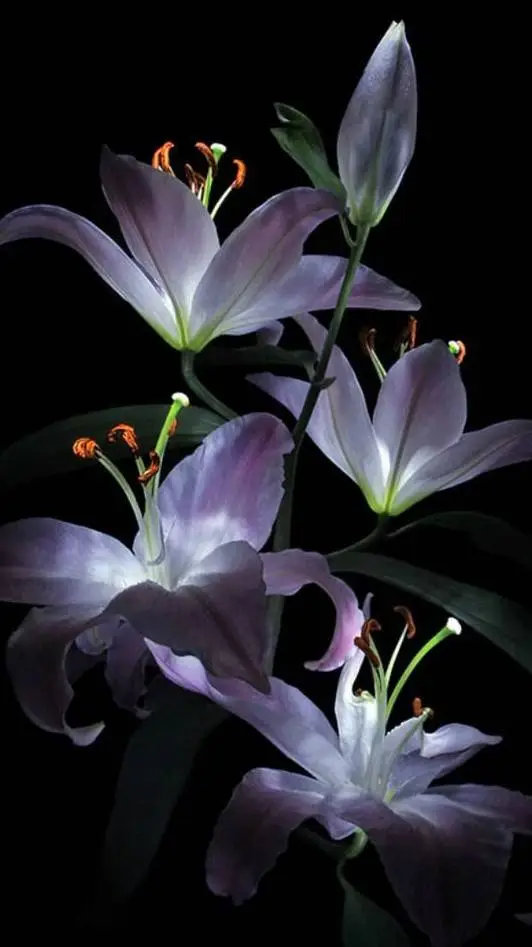 ai character: Jeongin.°• background