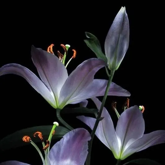 chat with ai character: Jeongin.°•