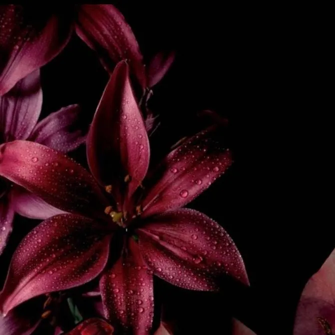 chat with ai character: Han•`.