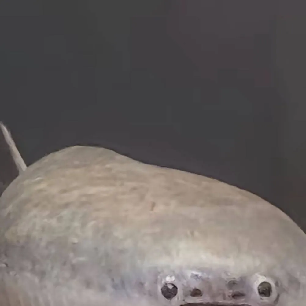 chat with ai character: prototypes rule