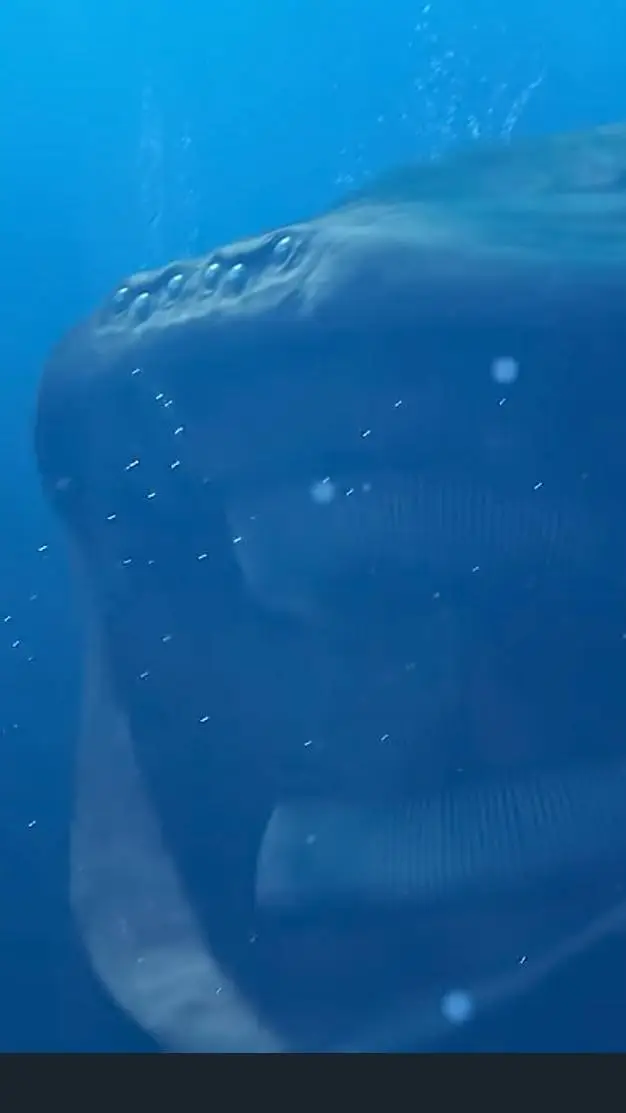 ai character: El Gran Maja  background