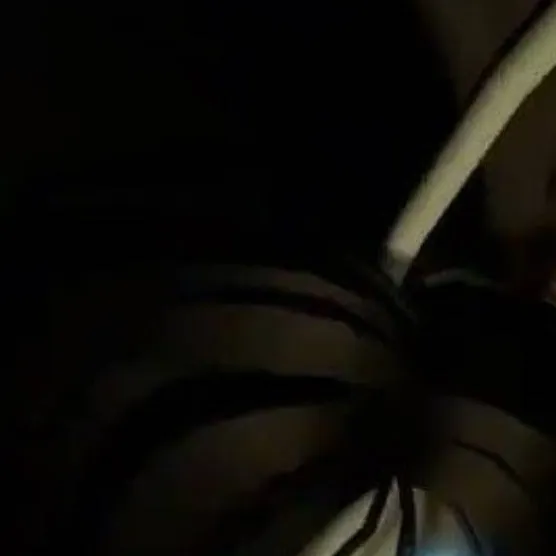 chat with ai character: Seb (mad)