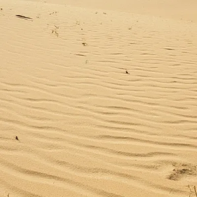 chat with ai character: Sand