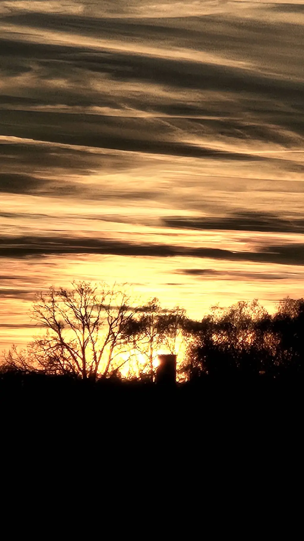 ai character: Jake background