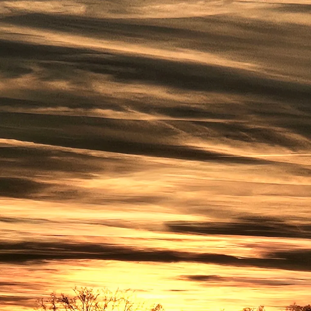 chat with ai character: Jake