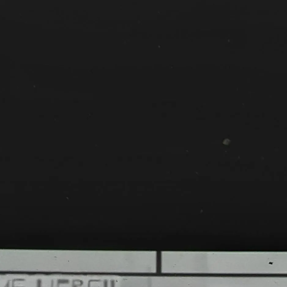 chat with ai character: Zip and Chip fpe