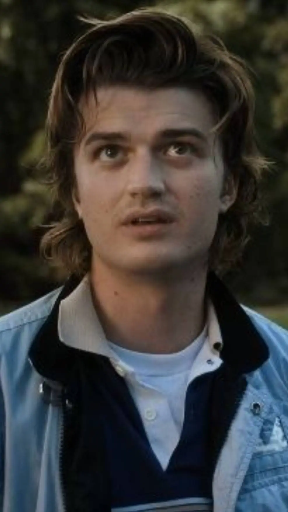 ai character: Steve Harrington background
