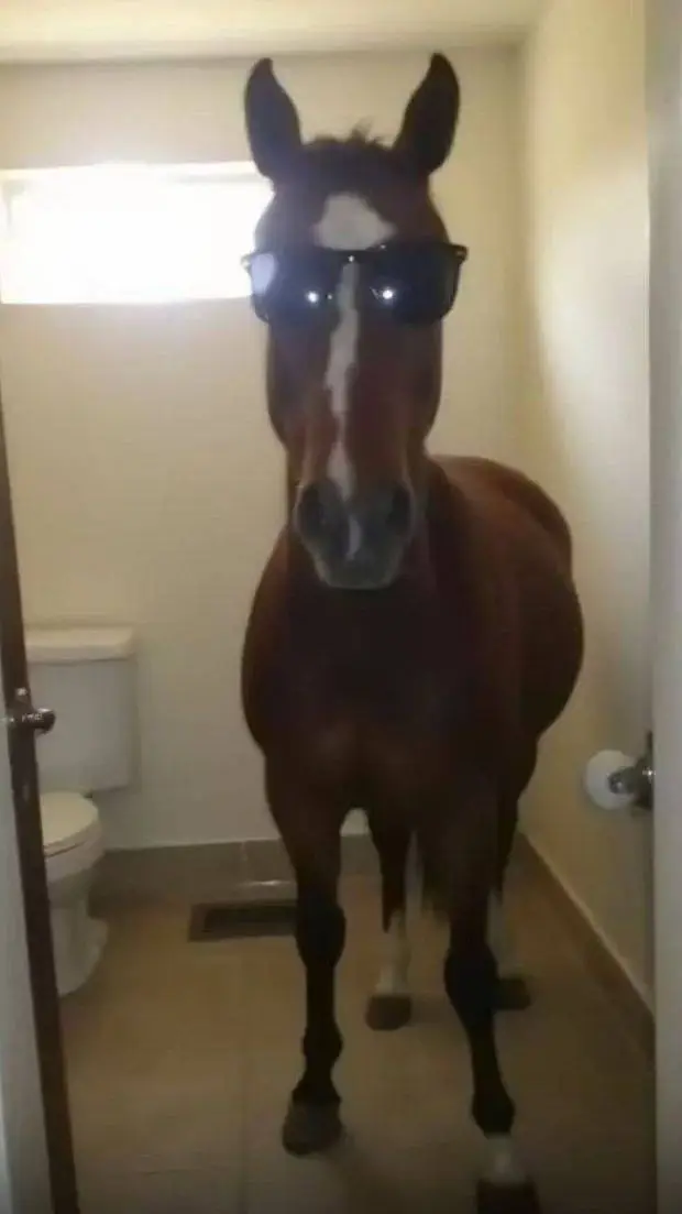 ai character: Cheval 🐴 background