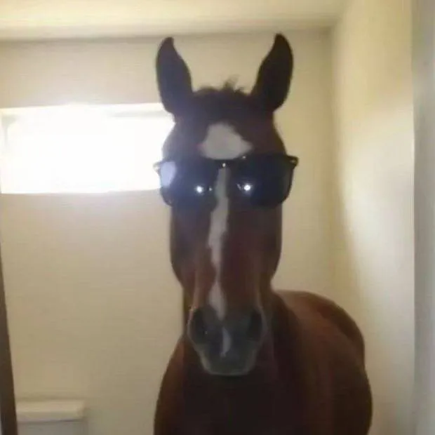 chat with ai character: Cheval 🐴