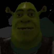 chat with ai character: shrek 👹