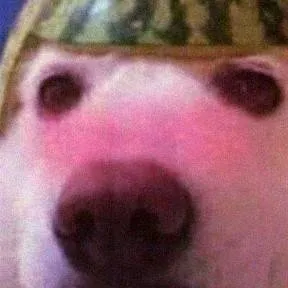 chat with ai character: MHA Class 1A