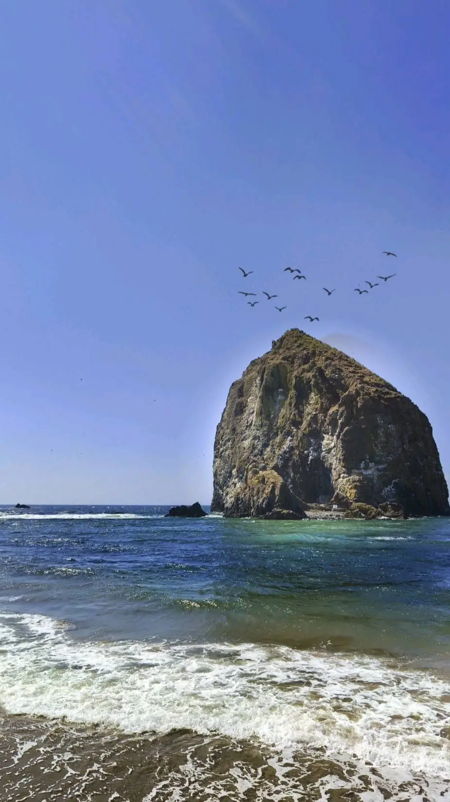 ai character: HH background