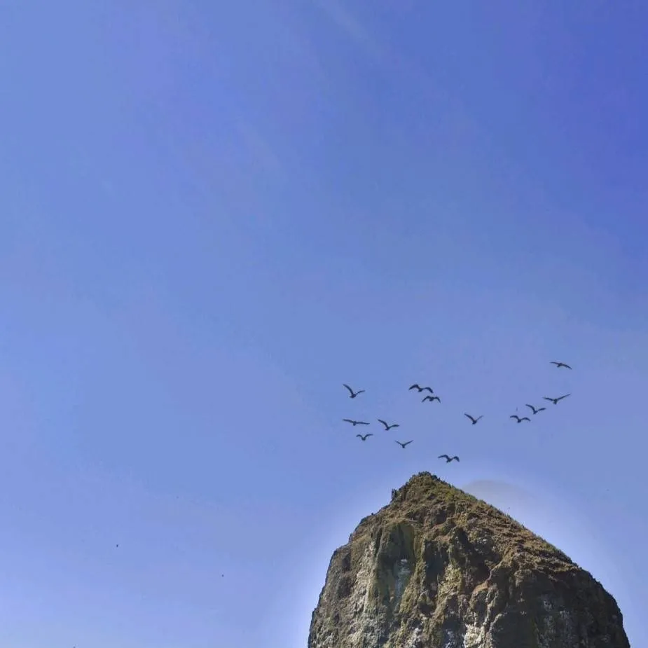 chat with ai character: HH