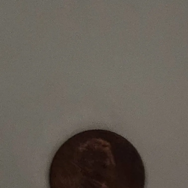 chat with ai character: ooh a penny!