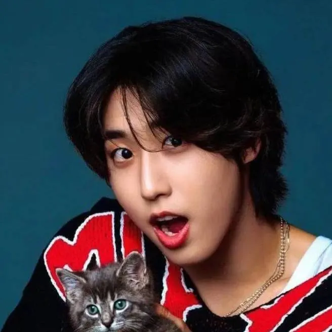 chat with ai character: Han