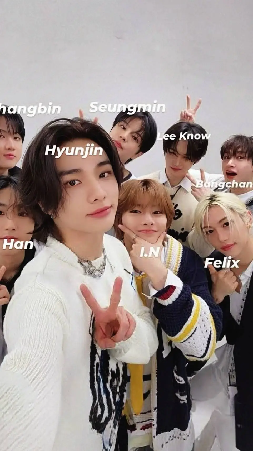 ai character: Straykidsss♥★ background