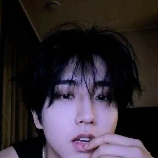 chat with ai character: Han💗🍡