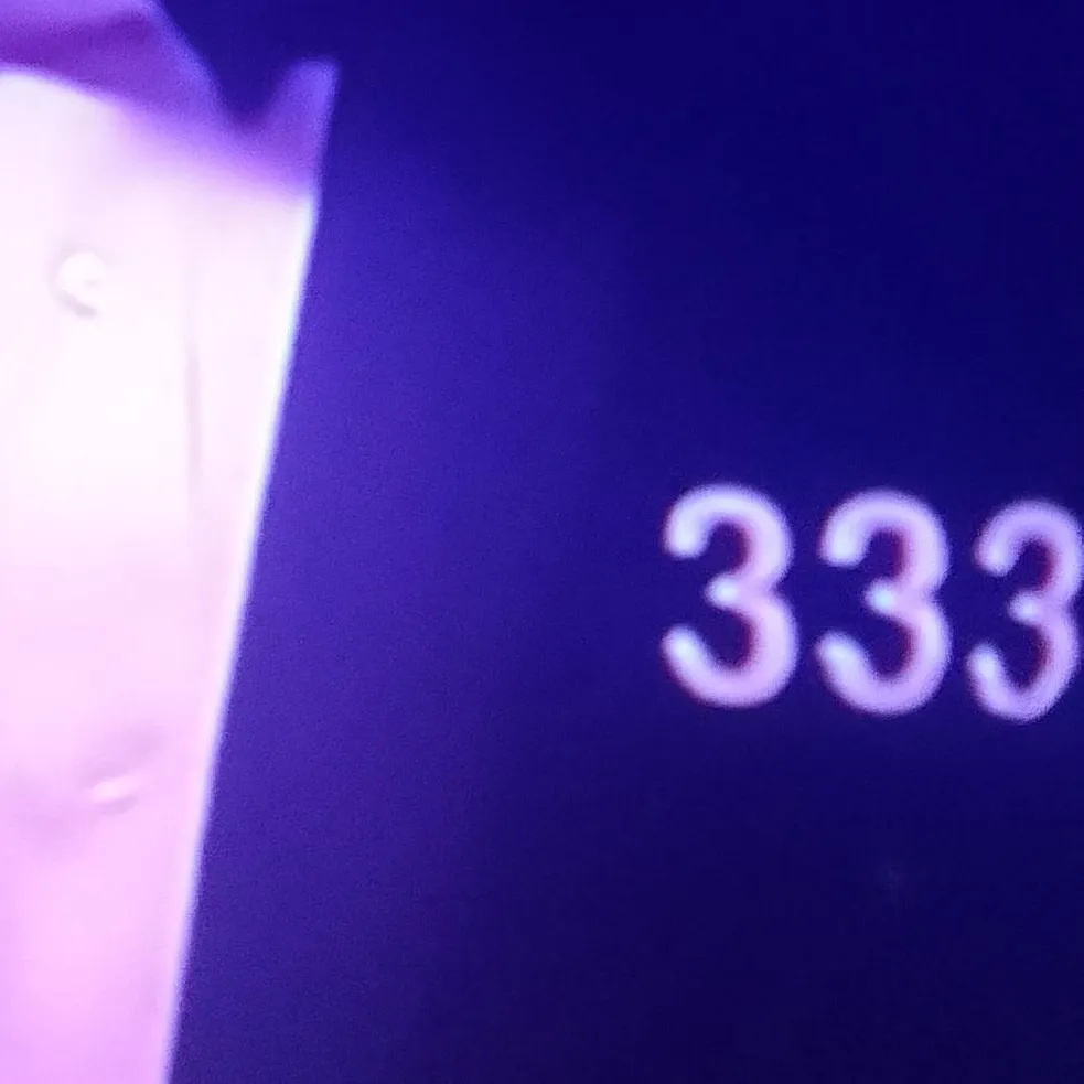 chat with ai character: player 333