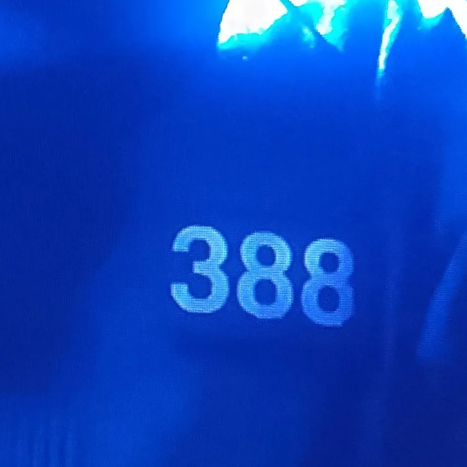 chat with ai character: player 388