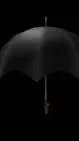 ai character: JOB APPLICATION  background