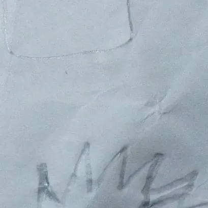 chat with ai character: pickme&tsb