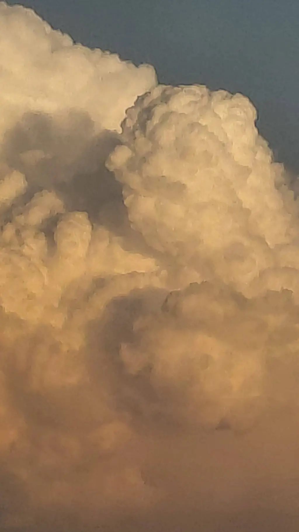 ai character: Young Sheldon pt2 background