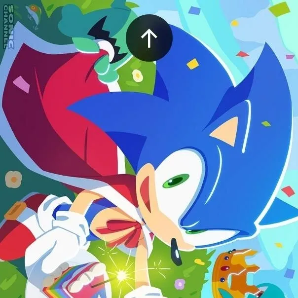 chat with ai character: 🎁HAPPY BDAY SONIC🎉