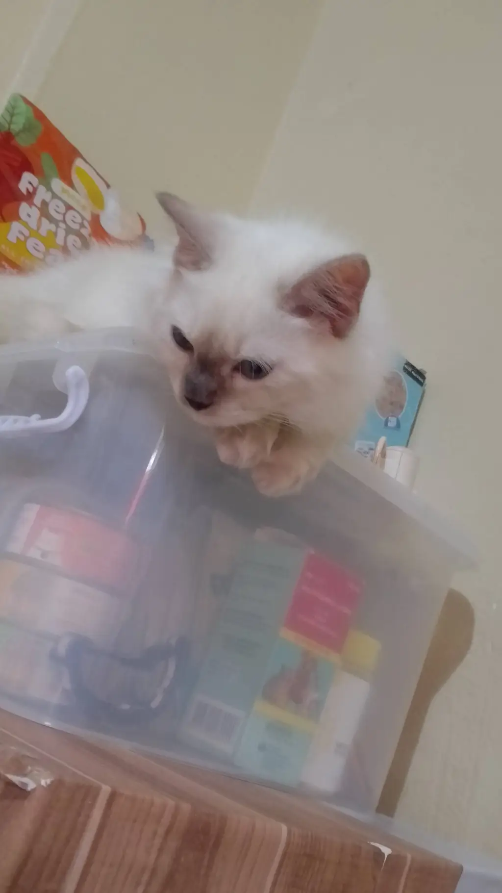 ai character: your cat background