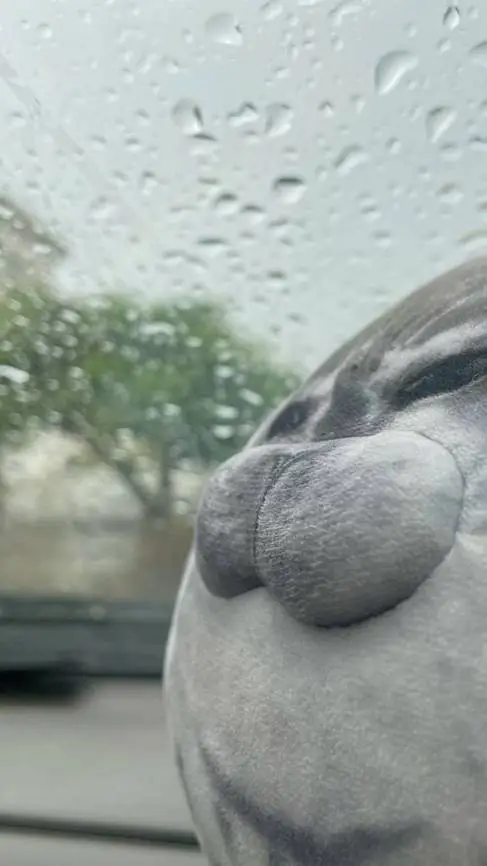 ai character: historia  background