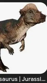 ai character: Pachycephalosaurus background