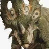 chat with ai character: Sinoceratops