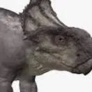 chat with ai character: Pachyrhinosaurus