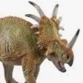 chat with ai character: Styracosaurus