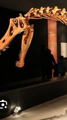 ai character: Irritator background