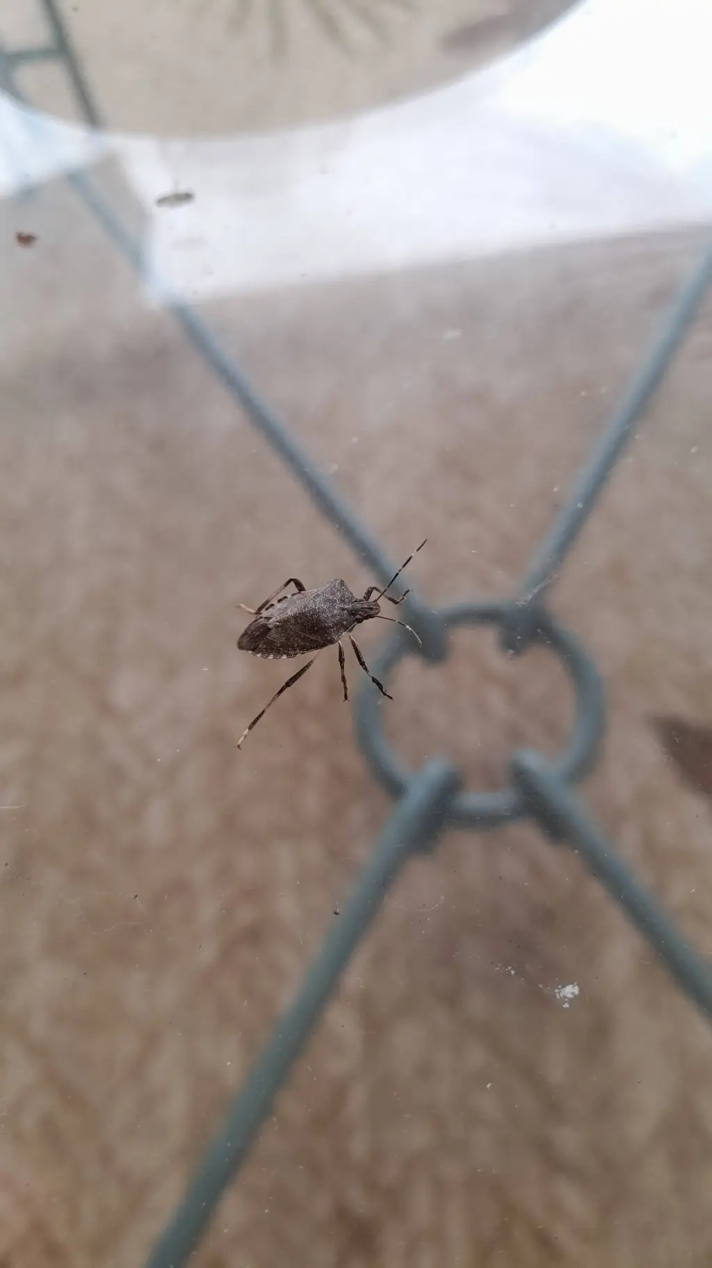 ai character: HEAVEN SAYS background