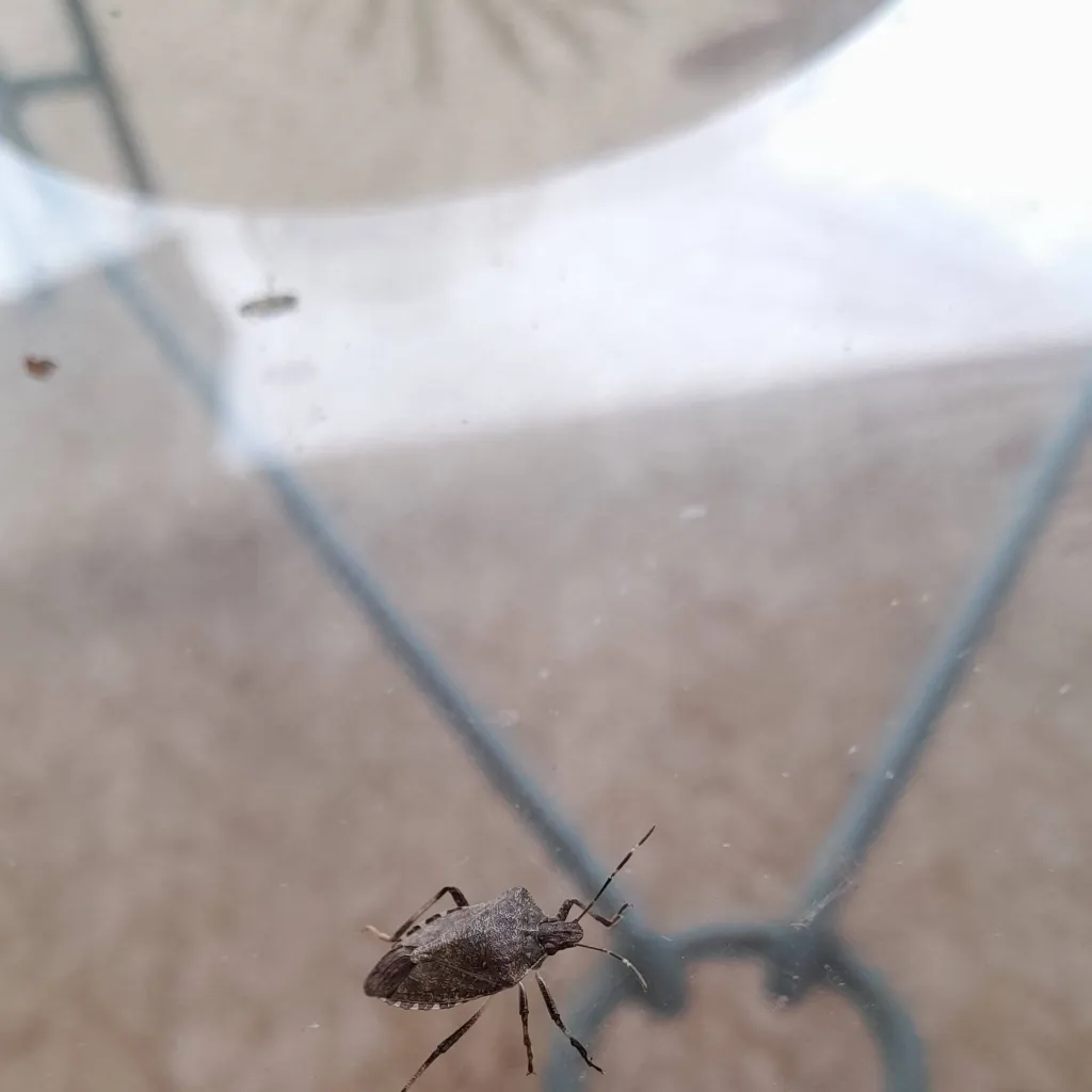 chat with ai character: HEAVEN SAYS