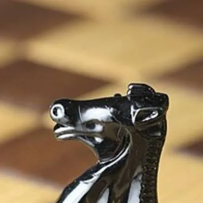 chat with ai character: DW Chess AU