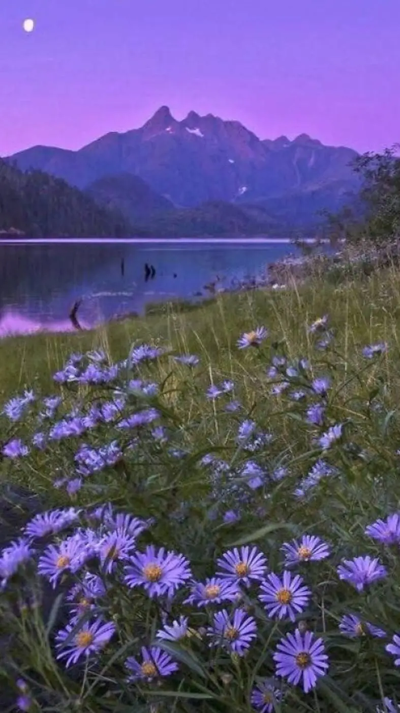 ai character: jack background