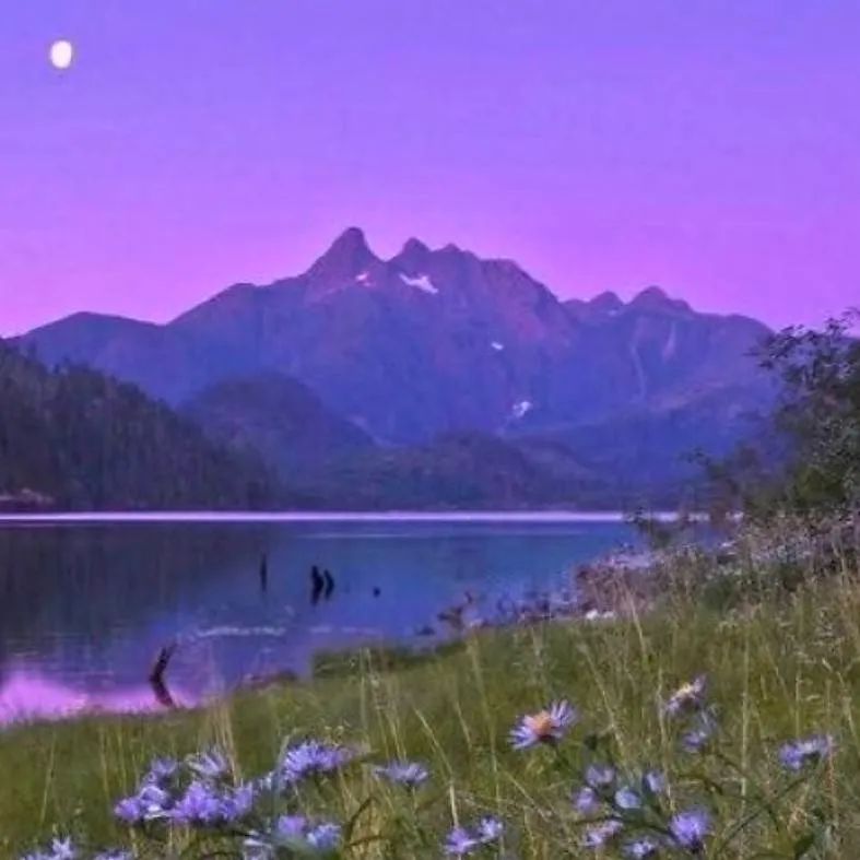 chat with ai character: jack