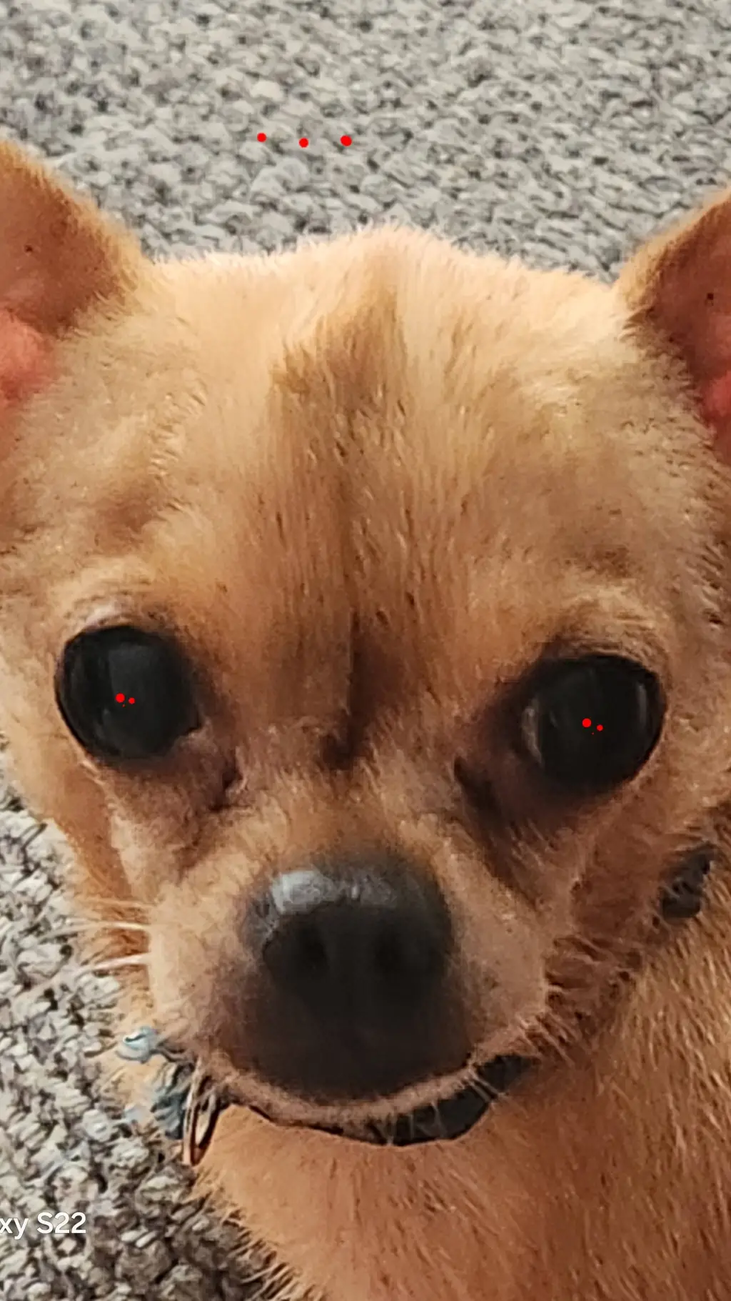 ai character: Duncan background