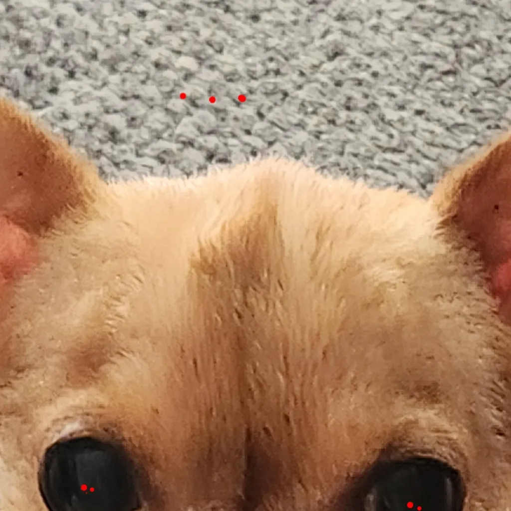 chat with ai character: Duncan