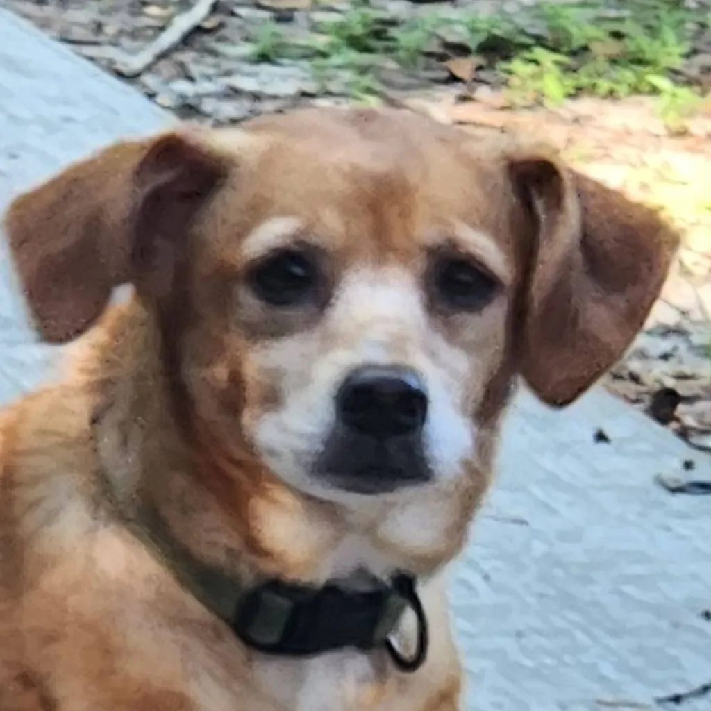 chat with ai character: Jessie